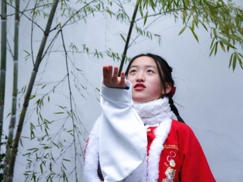 The Hidden History of Catholicism in China: From the Tang Dynasty to Today image