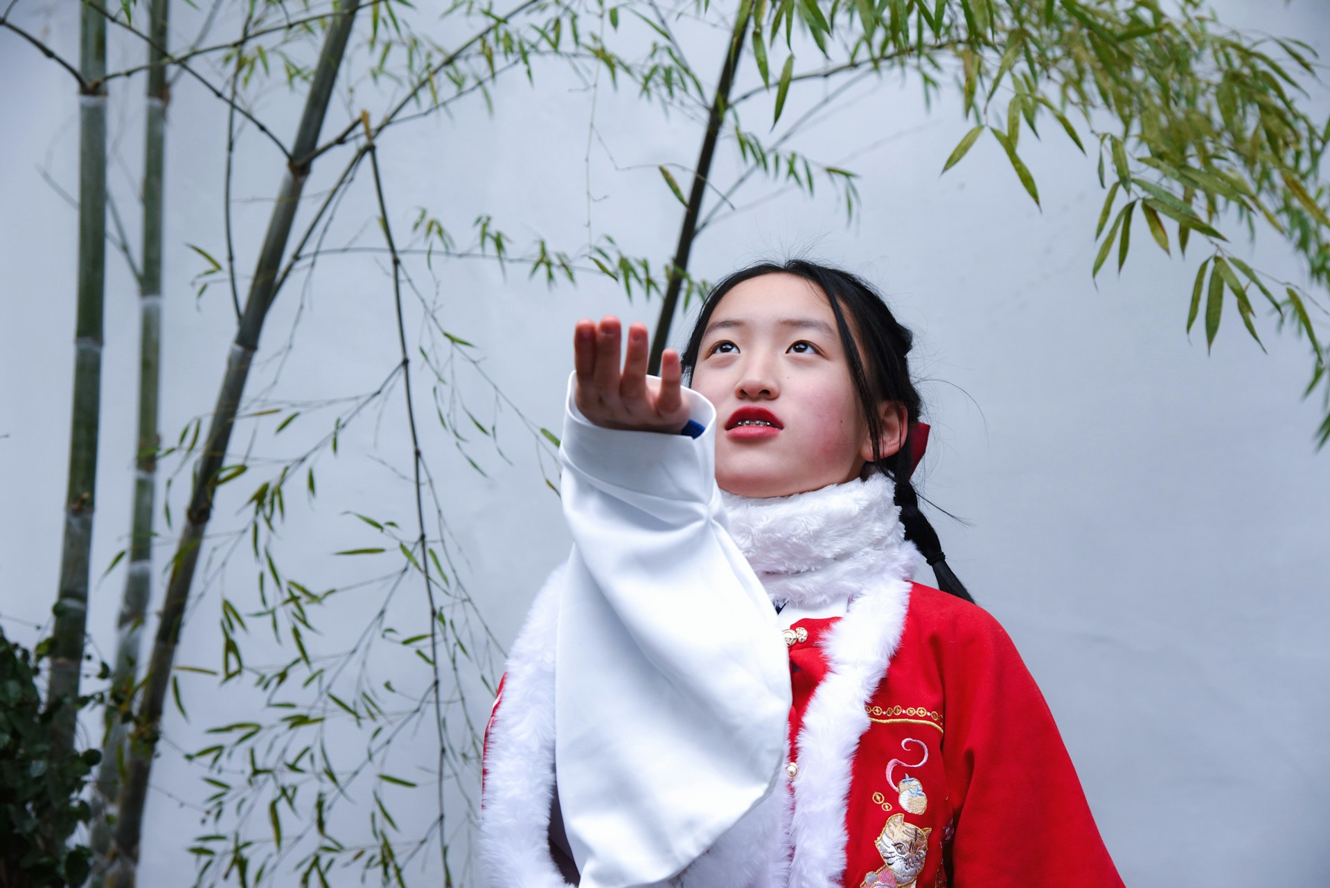 The Hidden History of Catholicism in China: From the Tang Dynasty to Today hero image